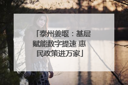 泰州姜堰：基层赋能数字提速 惠民政策进万家